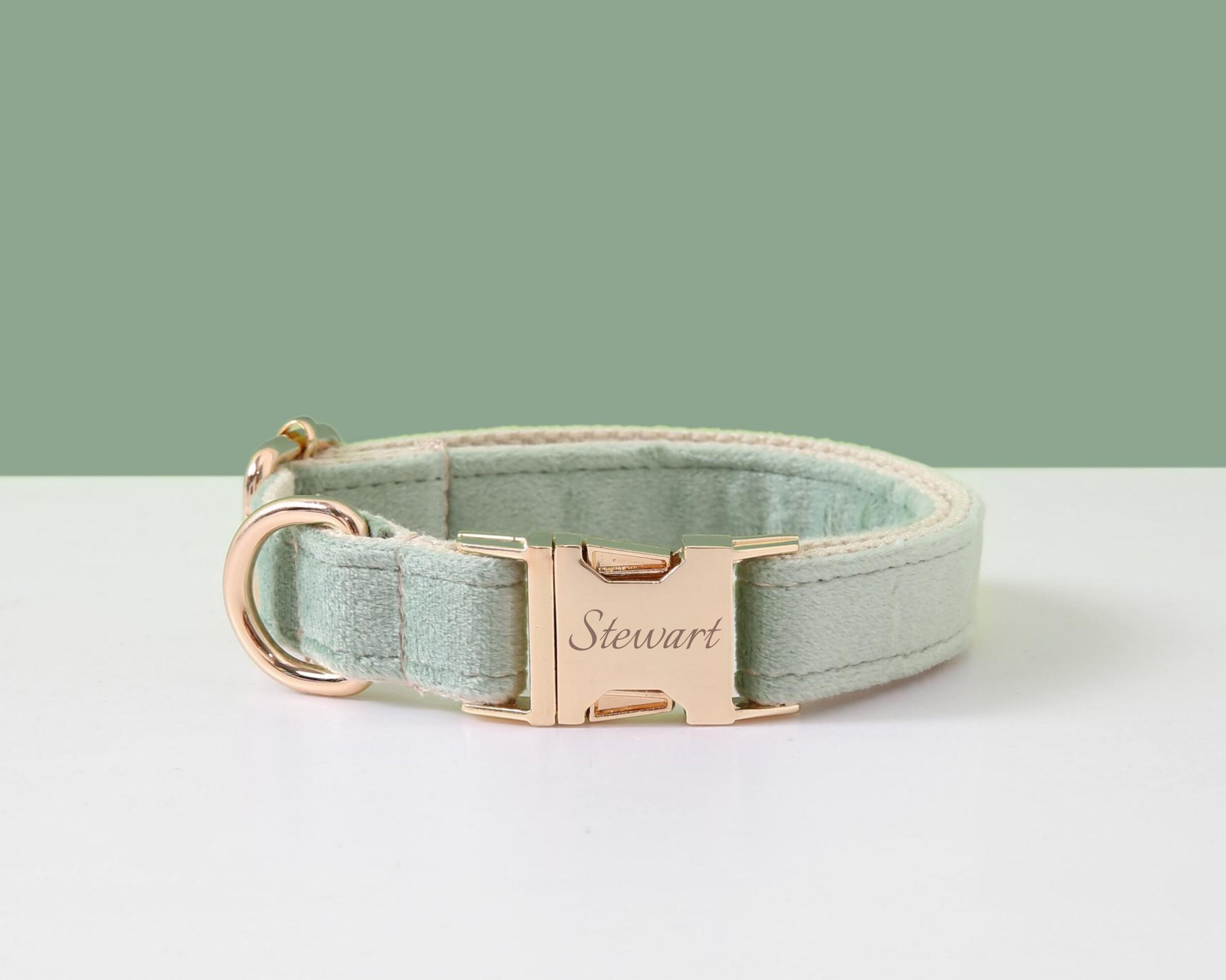 Customizable Sage Green Dog Harness and Leash Set