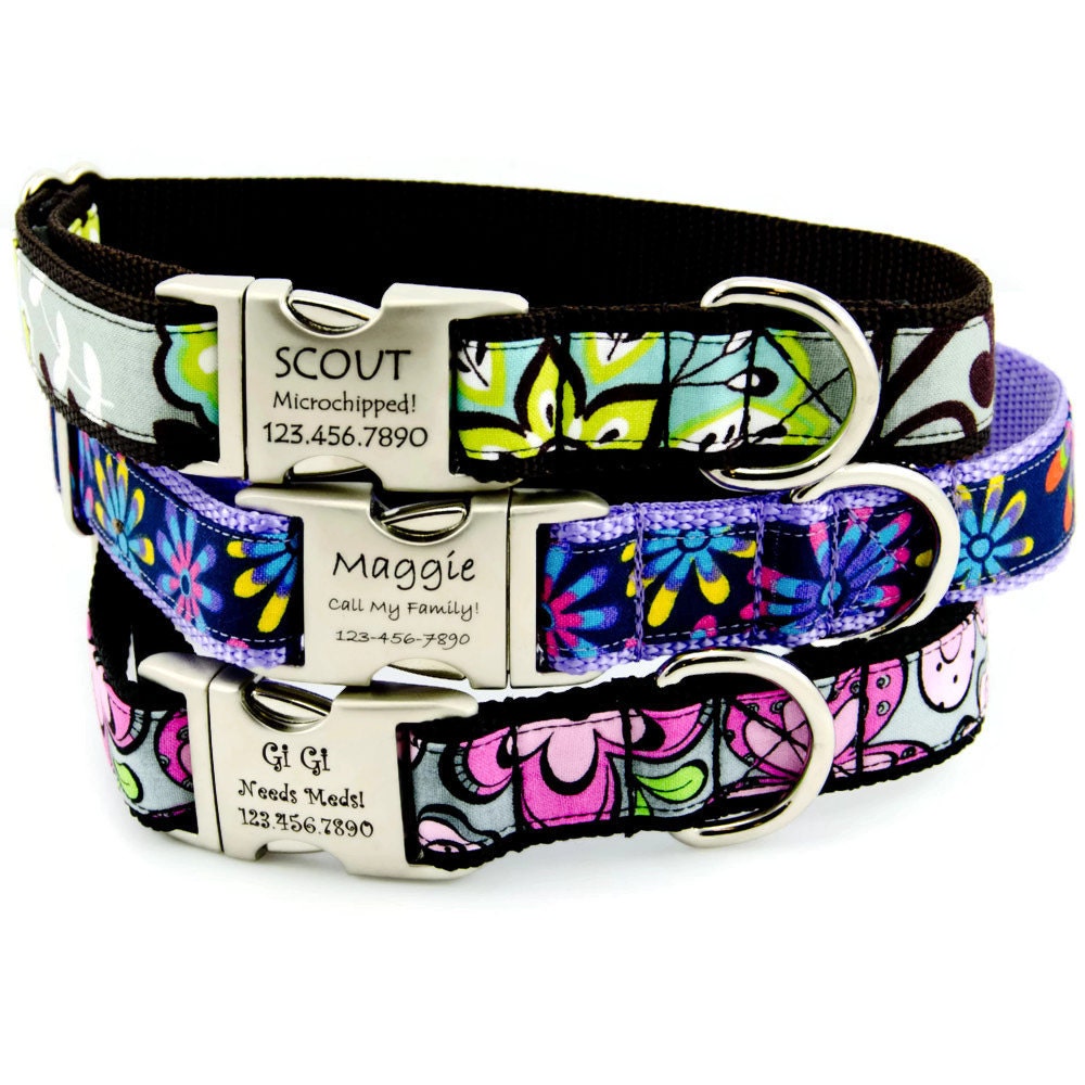 Bright Personalized Dog Collar with Custom Engraved ID