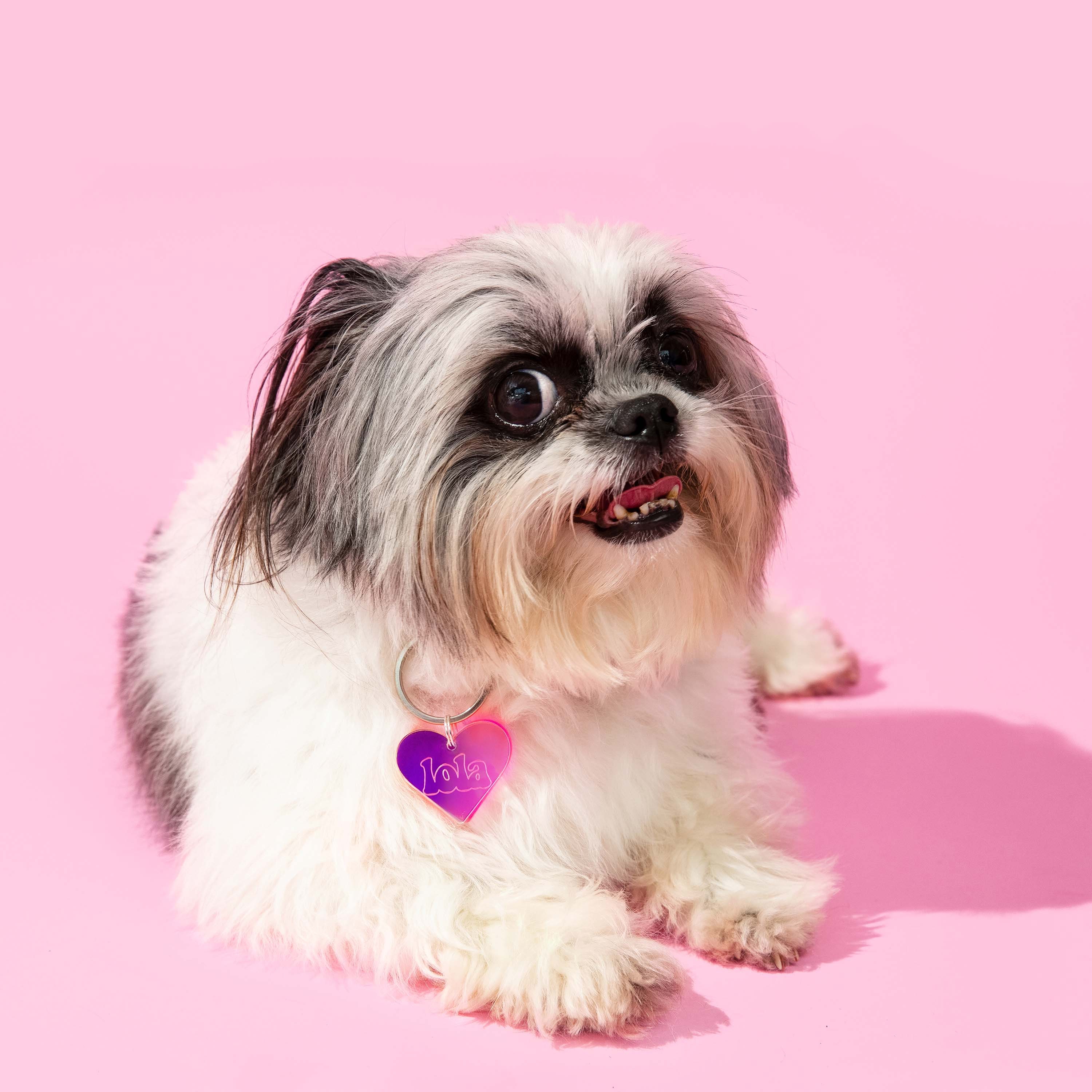 Personalized Pet Tag in Pink Heart-shape