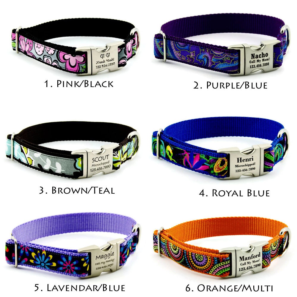 Bright Personalized Dog Collar with Custom Engraved ID