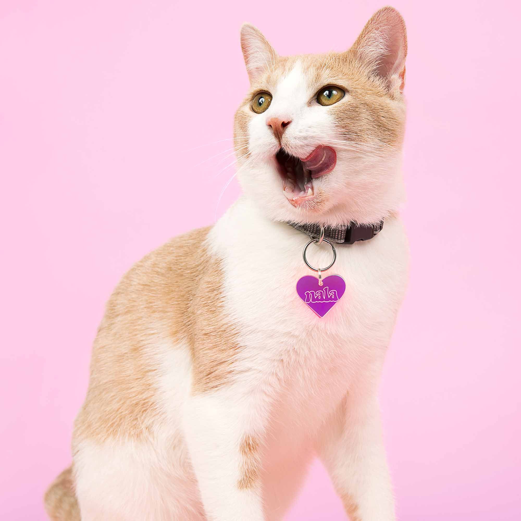 Personalized Pet Tag in Pink Heart-shape