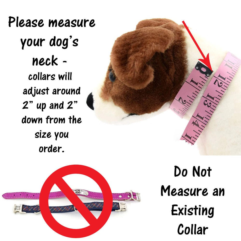 Bright Personalized Dog Collar with Custom Engraved ID