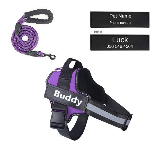 Customizable Harness & Leash Set for Dogs