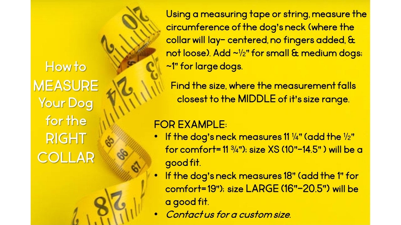 Stylish Natural Leather Dog Collar | Durable & Comfortable