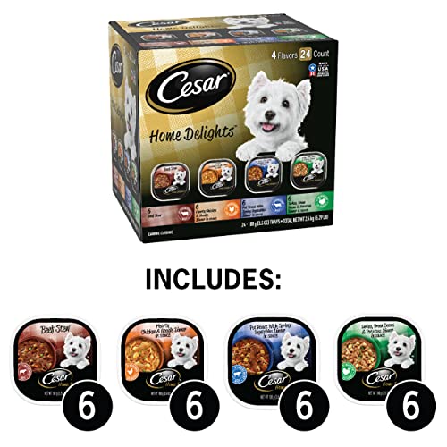 Cesar Wet Dog Food Variety Pack (24)