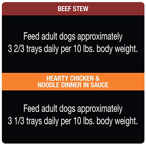 Cesar Wet Dog Food Variety Pack (24)