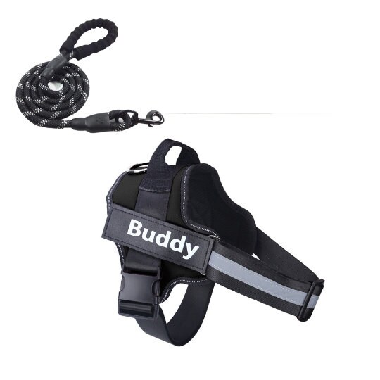 Customizable Harness & Leash Set for Dogs