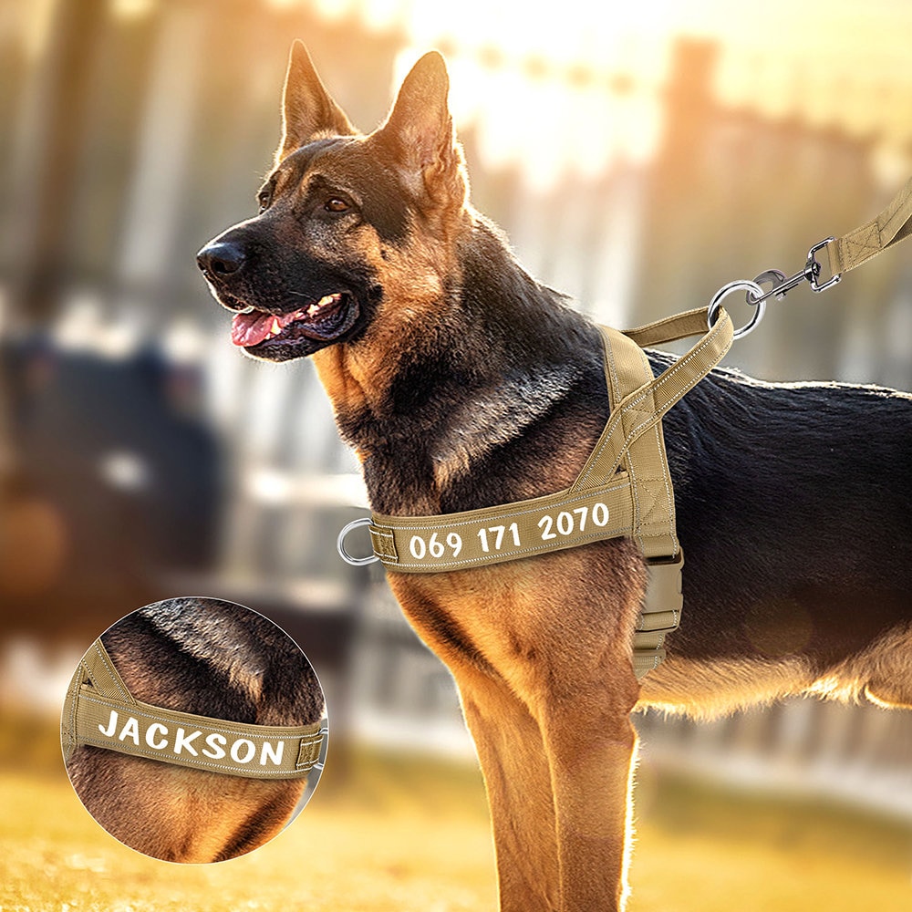 Customized Tactical Dog Harness with Reflective Nylon