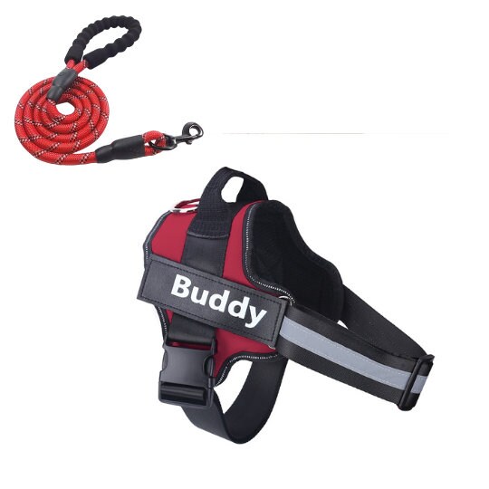 Customizable Harness & Leash Set for Dogs
