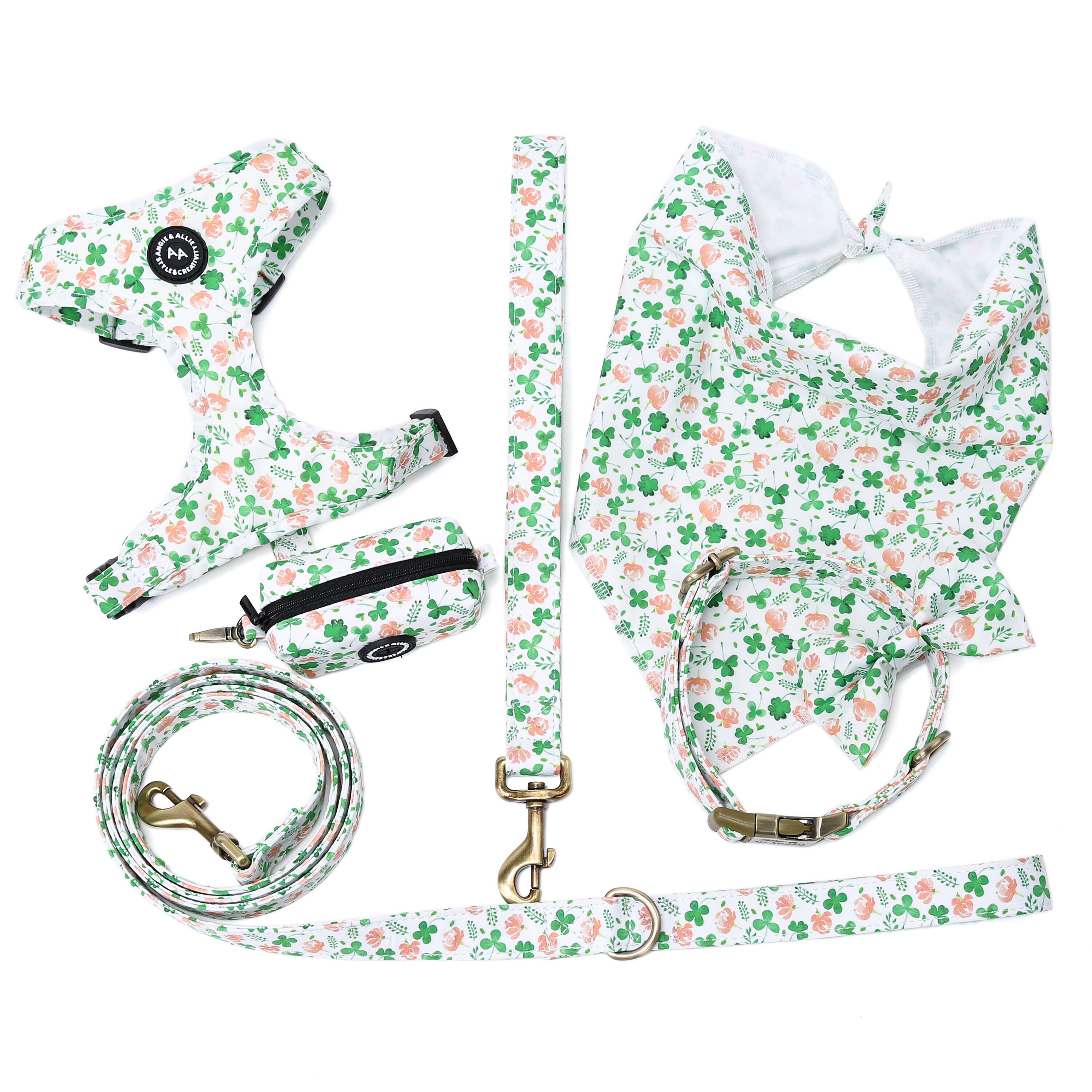 Customizable Dog Accessory Set + Lucky Charm