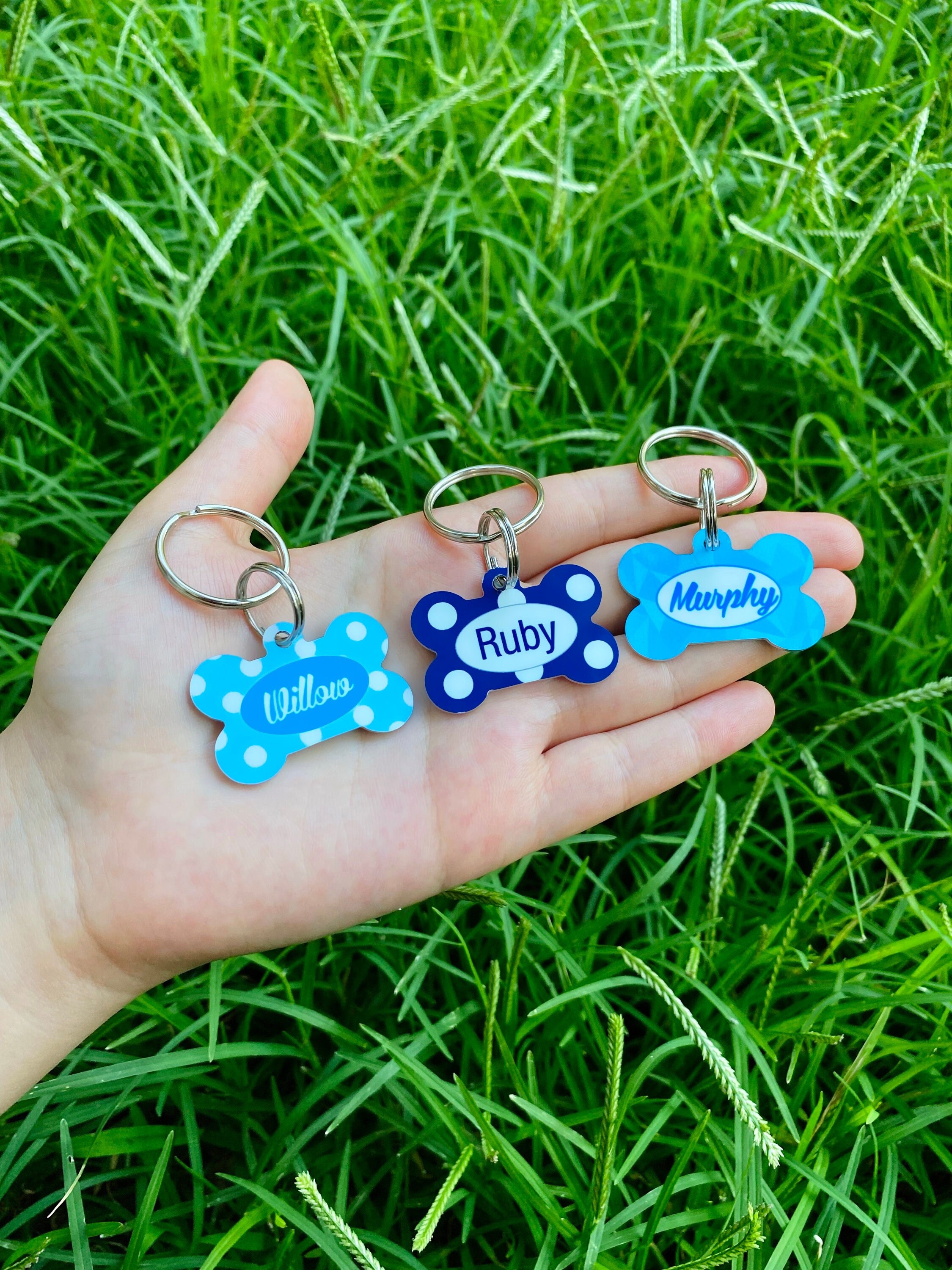 Personalized Pet ID Tag for Dogs - Blue
