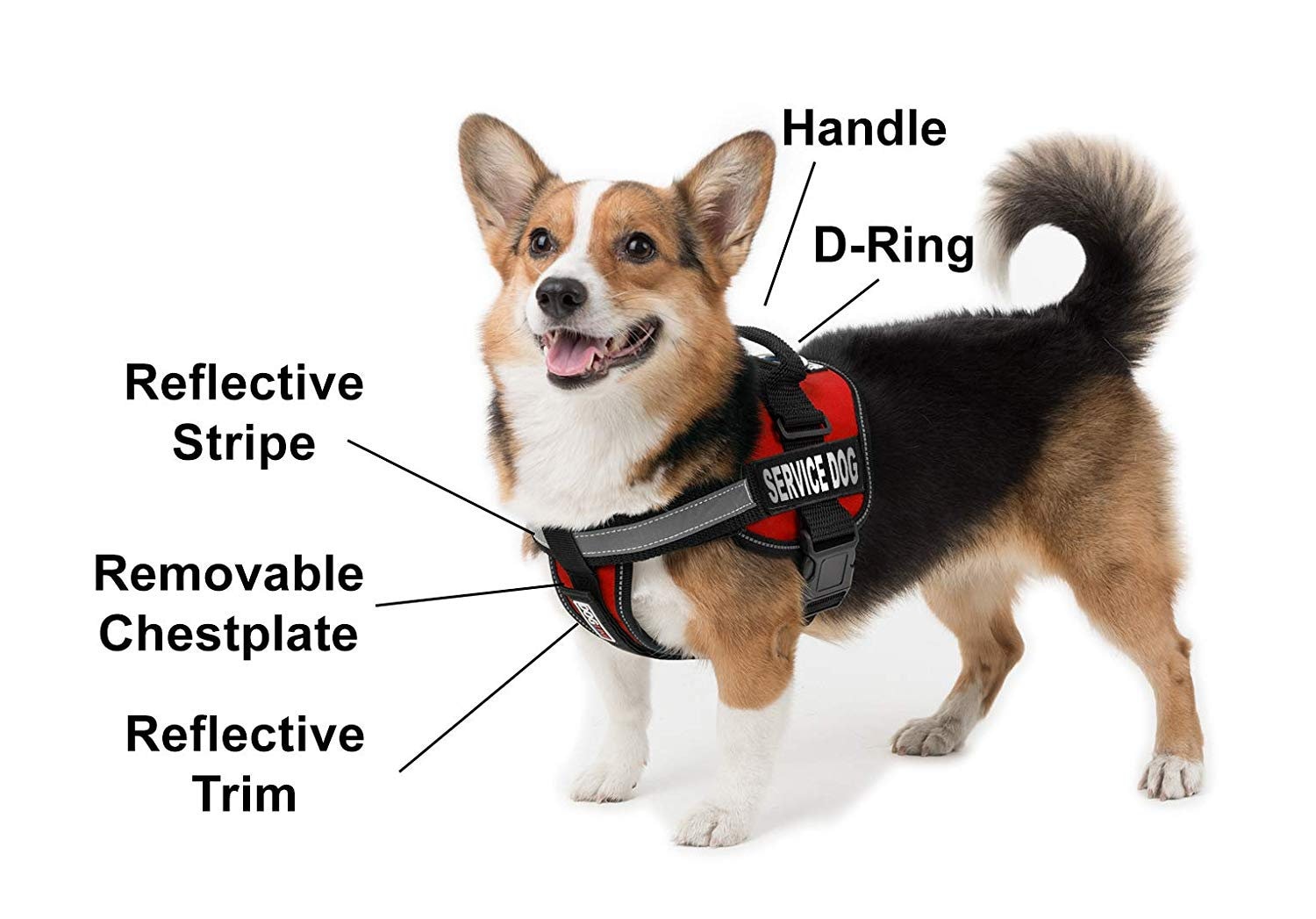 Custom Patch Dog Harness - Personalized Training Vest