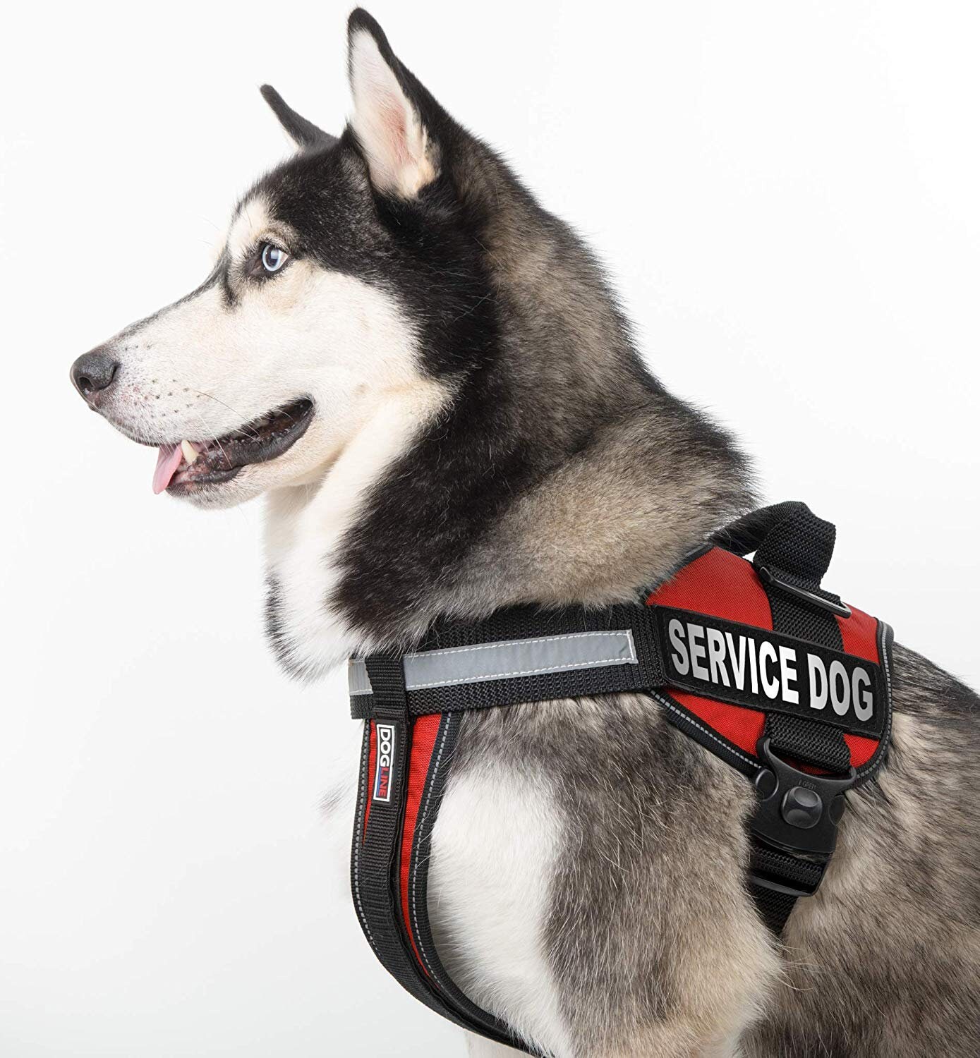 Custom Patch Dog Harness - Personalized Training Vest