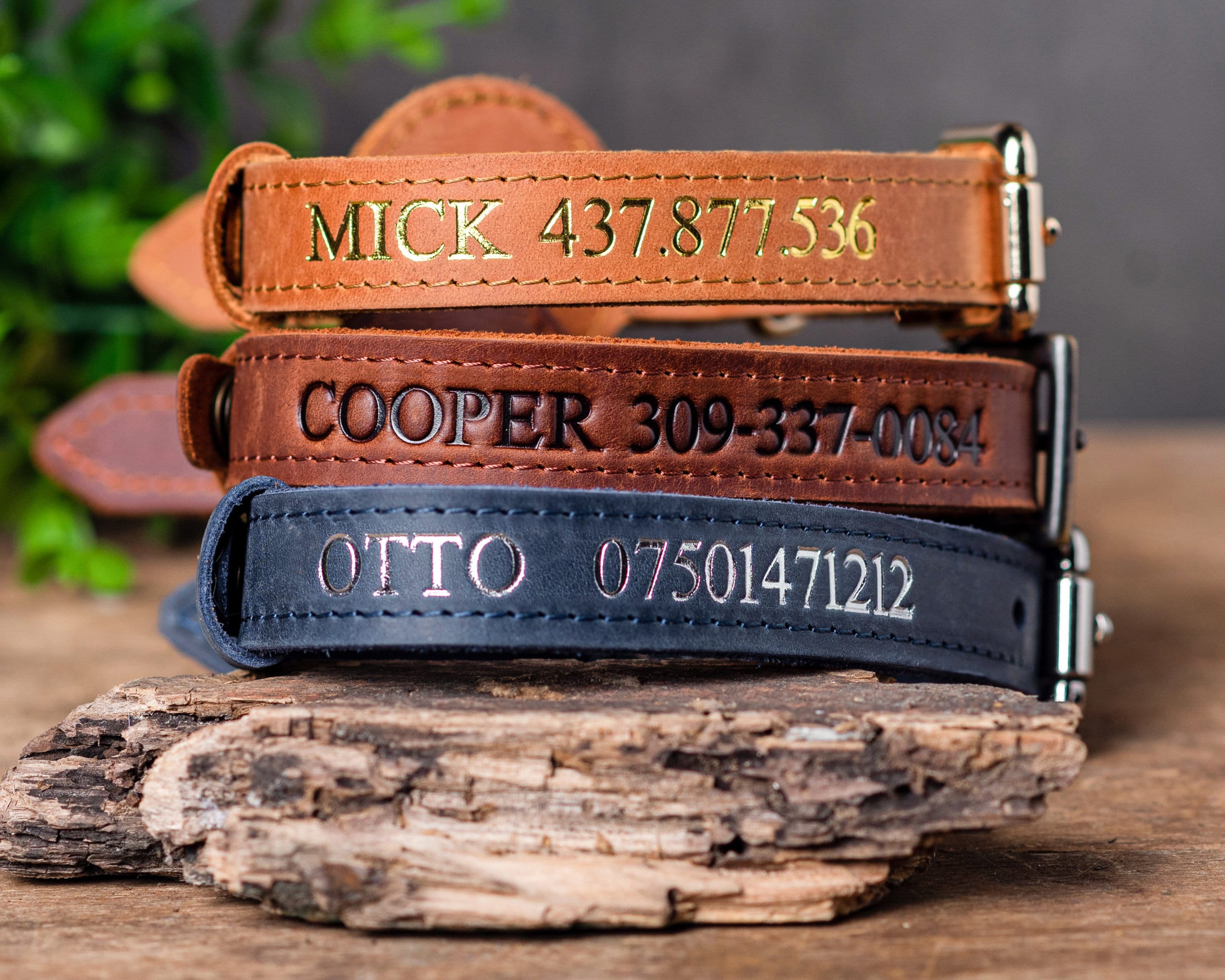Leather Dog Collar with AirTag - Personalized & Engraved