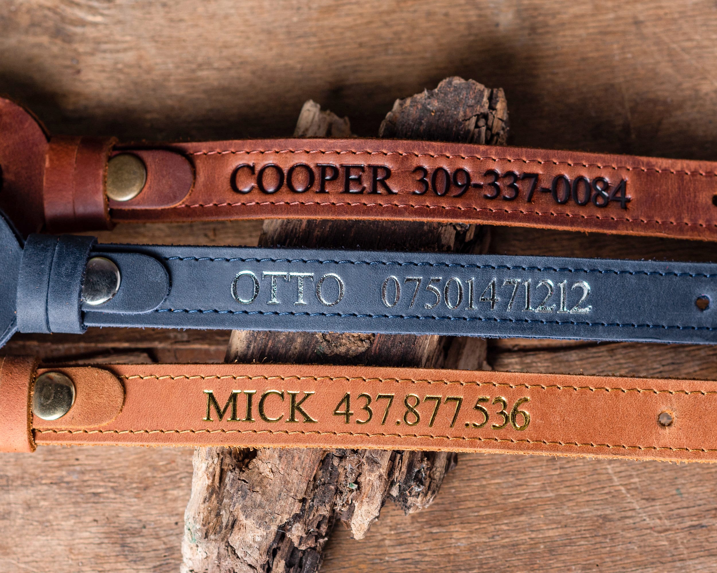 Leather Dog Collar with AirTag - Personalized & Engraved