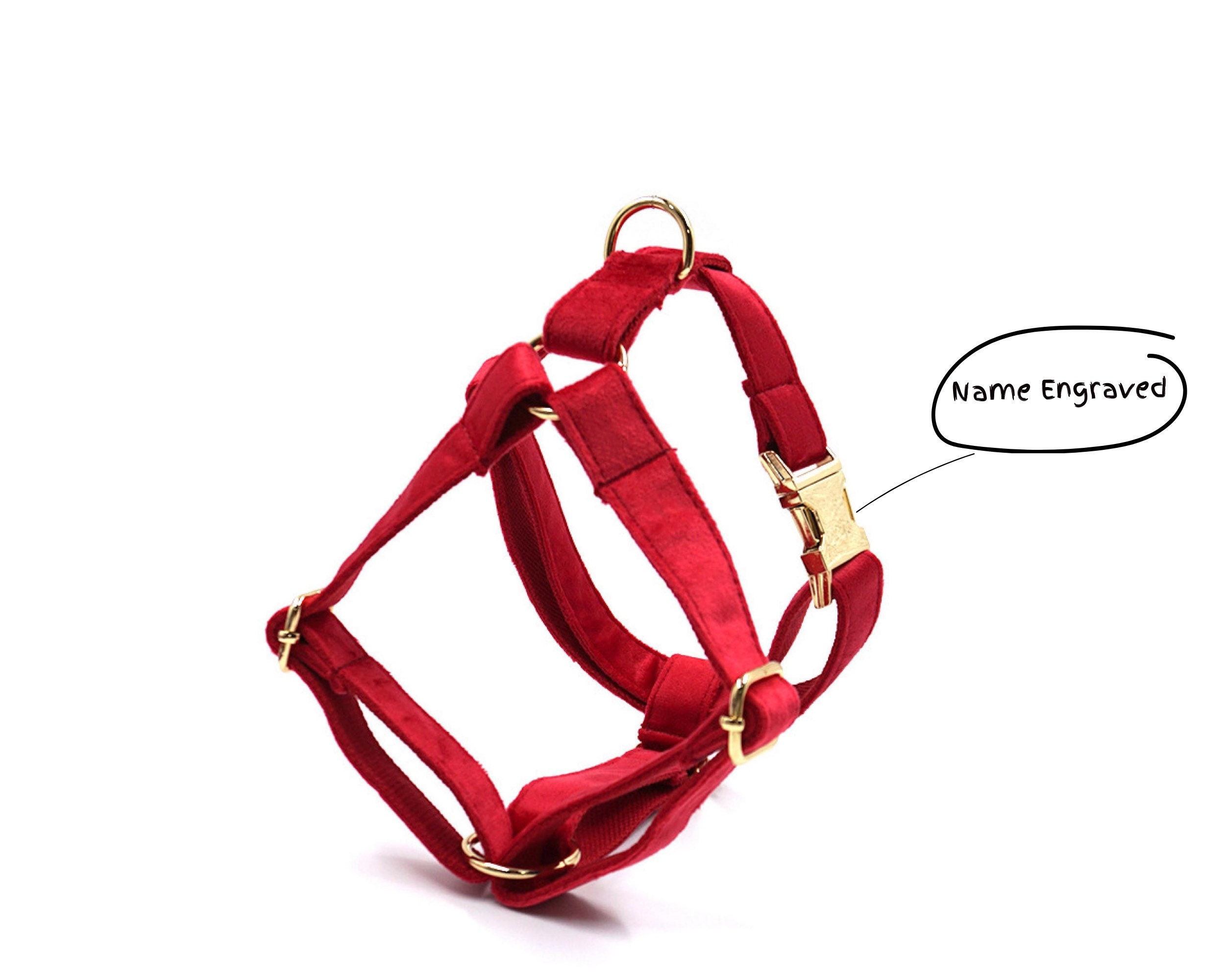 Custom Red Velvet Step-in Dog Harness Set