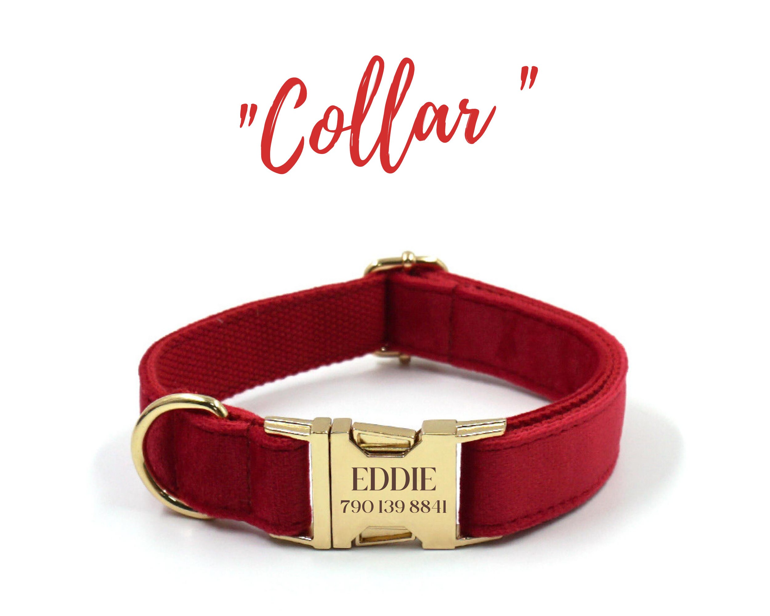 Custom Red Velvet Step-in Dog Harness Set