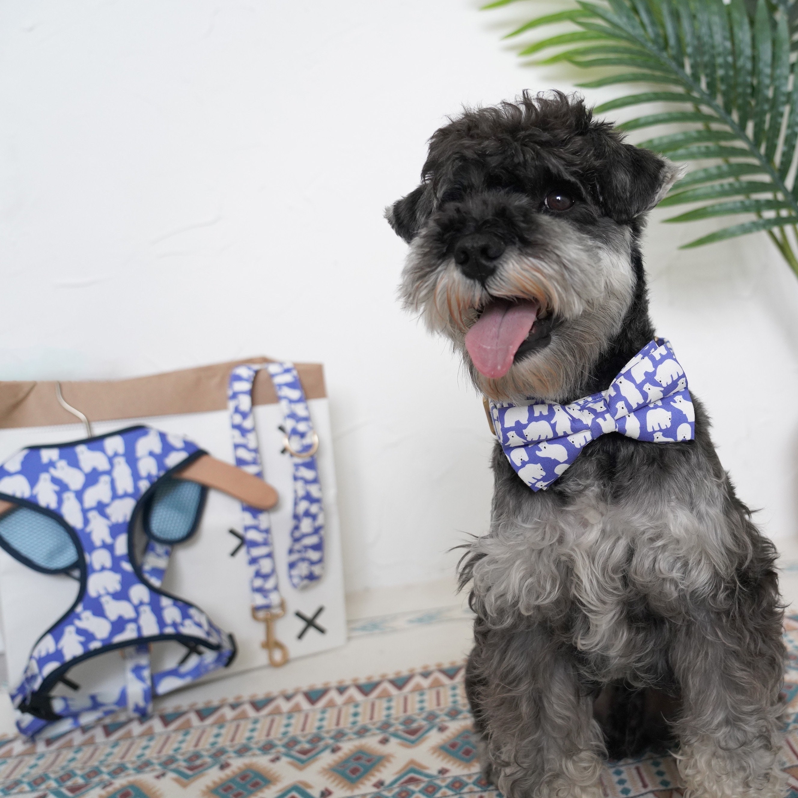 Customized Dog Collar and Leash Set