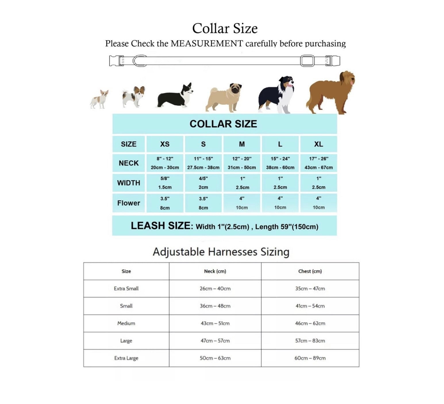 Customized Dog Collar and Leash Set