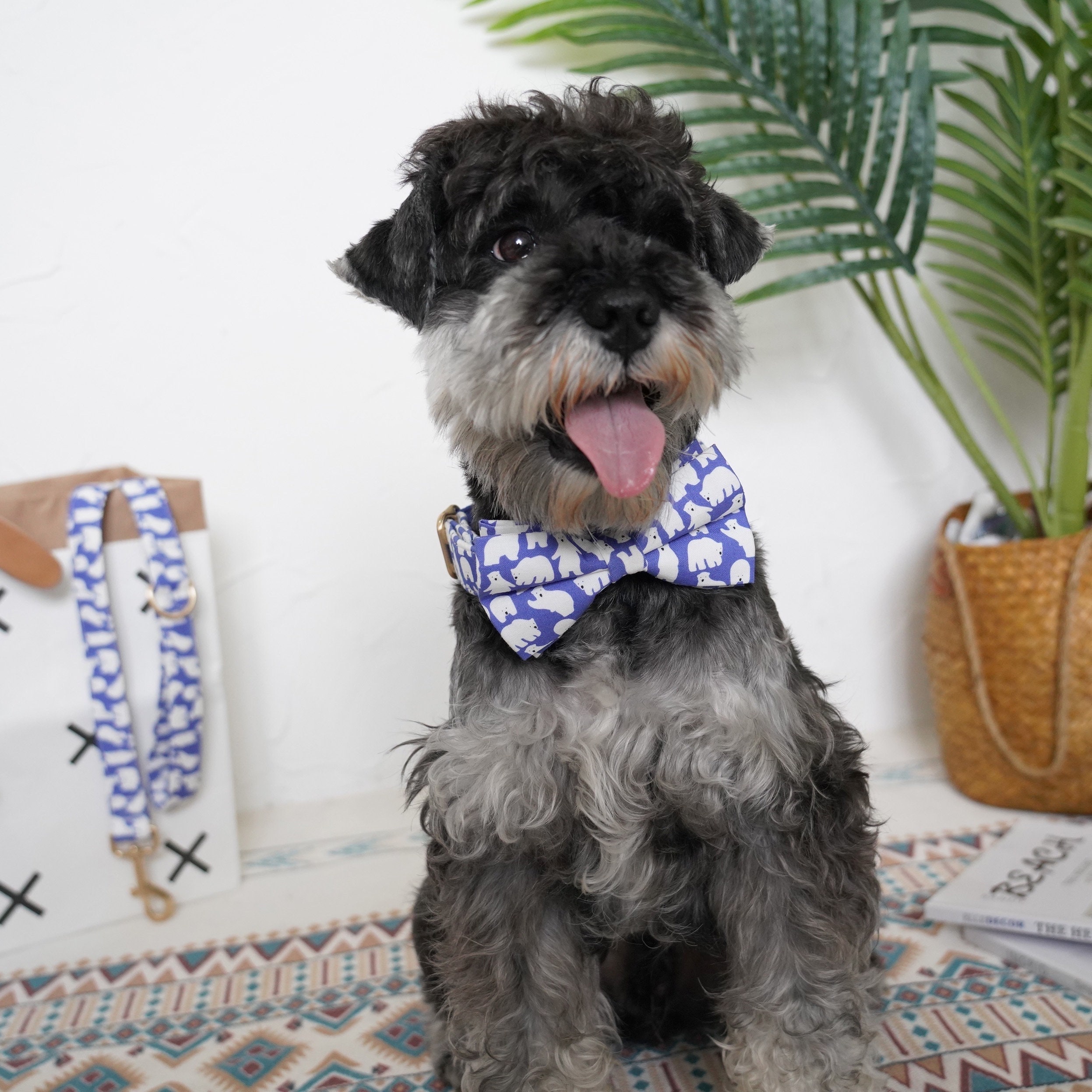 Customized Dog Collar and Leash Set