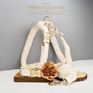 Beige Lace Personalized Dog Accessories for Fancy Occasions