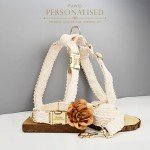 Beige Lace Personalized Dog Accessories for Fancy Occasions