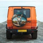 Generic Funny Donkey RV Spare tire Cover Wheel Protectors Weatherproof Wheel Covers Waterproof Universal Fit for Trailer Rv SUV Truck Camper Travel Trailers 15inch, HvoC-002