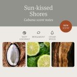 Drift Car Air Freshener - Stone Air Freshener - Car Odor Eliminator - Cabana Scent Starter Kit