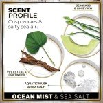 Urban Naturals Car Air Freshener Diffuser 1 Pack - Ocean Mist & Sea Salt Scent, 45+ Days Long Lasting Fragrance, Made in USA, Glass & Wood, Hanging Design + Vent Cip, Easy to Use