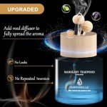 Car Air Freshener Hanging 2 Pack Air Fresheners Diffuser - Mahogany Teakwood Fragrance Oil Air Diffuser for Car, 45+ days Long Lasting Fragrance, Two 0.27 FL OZ/8ML Made in USA