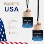 Car Air Freshener Hanging 2 Pack Air Fresheners Diffuser - Mahogany Teakwood Fragrance Oil Air Diffuser for Car, 45+ days Long Lasting Fragrance, Two 0.27 FL OZ/8ML Made in USA