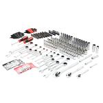 303-Piece Professional Mechanics Tool and Socket Set