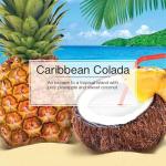 LITTLE TREES Caribbean Colada Car Air Fresheners - 12 Pack