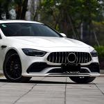 Mountains License Plate Frame Mountains Raised License Plate Frames for Car Decorative Parts Stainless Stee License Plate for Standard Us Canada License Plate Holder 12x6 Inch