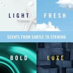 Febreze Vent Clip Car Air Freshener, Odor Eliminator, Auto Noir Scent, 4 Clips (2 Packs)