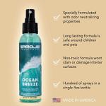 Proje Ocean Breeze - Air Freshener Spray for Car, Bathroom, & Bedroom - Odor Eliminator & Deodorizer for Home or Auto - Long-Lasting Formula - 4 Fl Oz