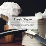 Little Trees Car Air Freshener 6-Pack (Fresh Shave)