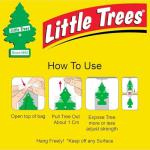 Little Trees Car Air Freshener 6-Pack (Fresh Shave)