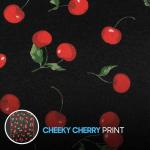 BDK Red Cherry Car Seat Covers for Front Seats, 2 Pack – Classic Pattern with Matching Headrest, Sideless Design for Easy Installation, Fits Most Car Truck Van and SUV