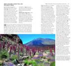 Sunflower Books Southern Tenerife and La Gomera Sunflower Walking Guide 70 long and short walks with detailed maps and GPS 6 car tours with pull-out map (Sunflower Guides).