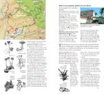 Sunflower Books Southern Tenerife and La Gomera Sunflower Walking Guide 70 long and short walks with detailed maps and GPS 6 car tours with pull-out map (Sunflower Guides).