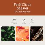 Drift Car Air Freshener - The Original Wood Air Freshener - Car Odor Eliminator - Long Lasting Scent - Auto Accessories - Metal Clip - Essential Oils - Clean Ingredients - Grove Scent Starter Kit