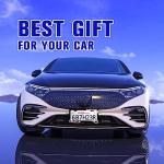 Cherry Blossoms License Plate Frame Beautiful Pink Flowers License Plate Frames Funny Auto Accessory Bracket Stainless Steel License Plate for Women Men 6x12 Inch