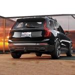 Cherry Blossoms License Plate Frame Beautiful Pink Flowers License Plate Frames Funny Auto Accessory Bracket Stainless Steel License Plate for Women Men 6x12 Inch