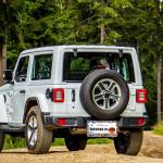 Beautiful Glass Flowers Pattern License Plate Frame Floral Stainless Steel License Plate Holder For Front And Rear Car Tags Funny For Car Decoration Accessories With Screws 6.3 X 12.2 In For Women Men