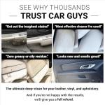 CAR GUYS Super Cleaner - 18 Oz Interior Kit