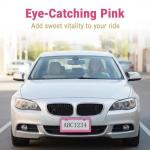 Fashion Slim Pink Matte License Plate Frames,Stainless Steel License Plate Covers,Weather Proof License Plate Holder for Women(Slim Pink,2PCS)