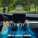 Air Jungles Long-Lasting Car Air Freshener Clips