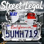 Chrome Palm Tree License Plate Frame for Women, Cute Hawaiian Beach License Plate Frames with Palm Trees