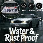 Chrome Palm Tree License Plate Frame for Women, Cute Hawaiian Beach License Plate Frames with Palm Trees